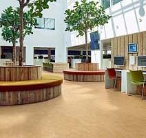 Forbo Marmoleum Decibel on Order 317335 Van Gogh фото 2 | FLOORDEALER